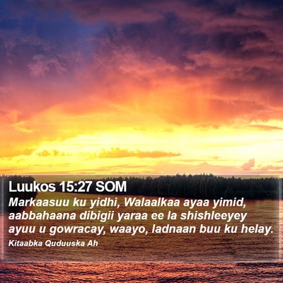 Luukos 15:27 SOM Bible Verse Image