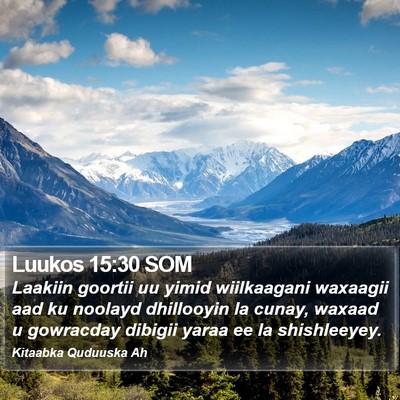 Luukos 15:30 SOM Bible Verse Image