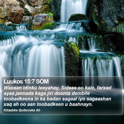 Luukos 15:7 SOM Bible Verse Image