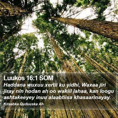 Luukos 16:1 SOM Bible Verse Image