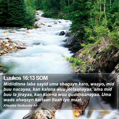 Luukos 16:13 SOM Bible Verse Image