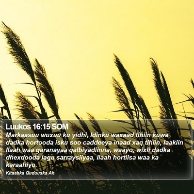 Luukos 16:15 SOM Bible Verse Image