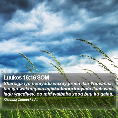 Luukos 16:16 SOM Bible Verse Image