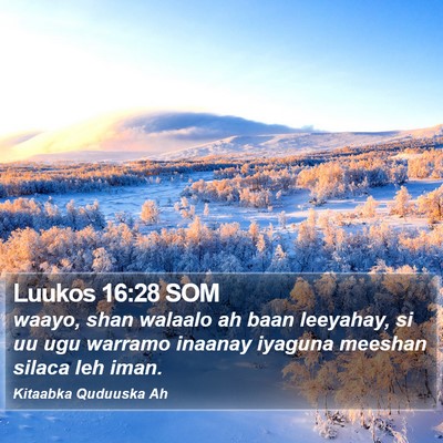 Luukos 16:28 SOM Bible Verse Image