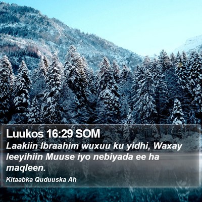 Luukos 16:29 SOM Bible Verse Image