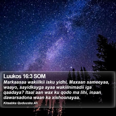Luukos 16:3 SOM Bible Verse Image