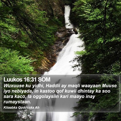 Luukos 16:31 SOM Bible Verse Image
