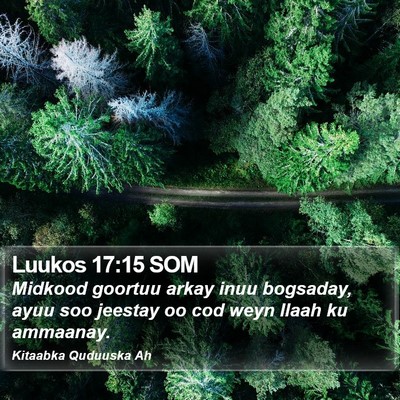 Luukos 17:15 SOM Bible Verse Image