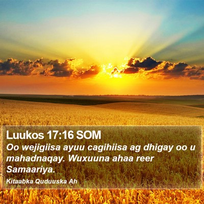 Luukos 17:16 SOM Bible Verse Image