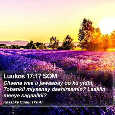 Luukos 17:17 SOM Bible Verse Image