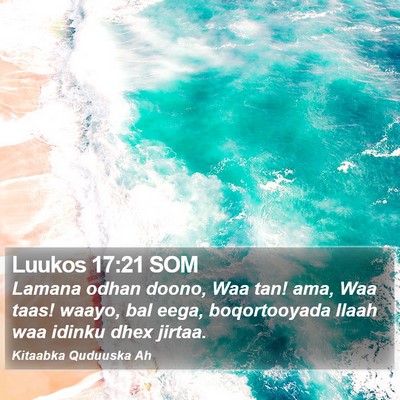Luukos 17:21 SOM Bible Verse Image