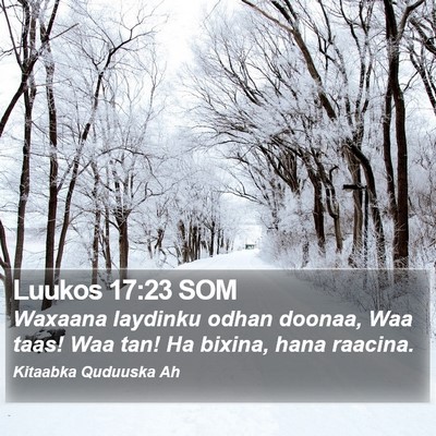 Luukos 17:23 SOM Bible Verse Image