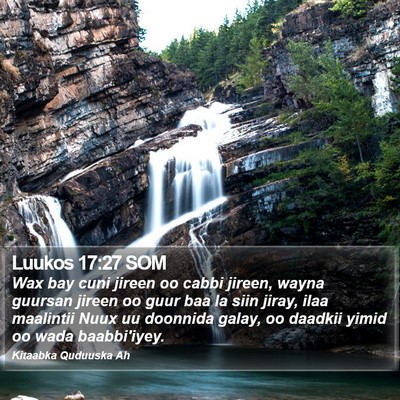 Luukos 17:27 SOM Bible Verse Image