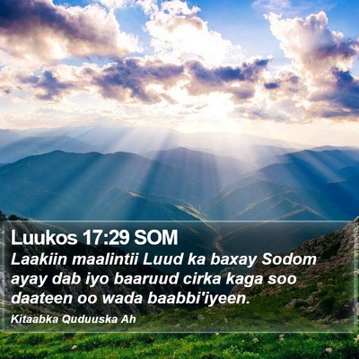 Luukos 17:29 SOM Bible Verse Image