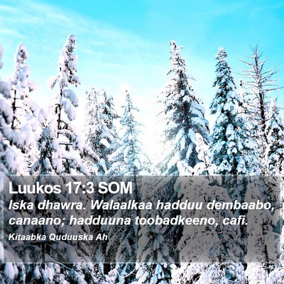Luukos 17:3 SOM Bible Verse Image