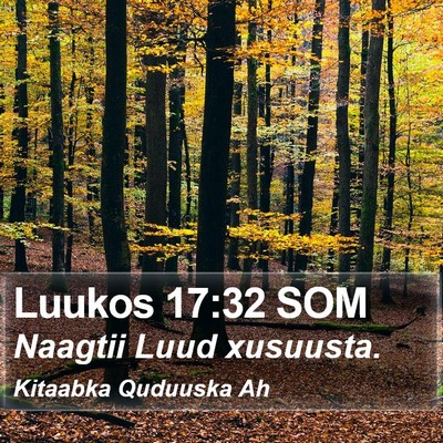 Luukos 17:32 SOM Bible Verse Image