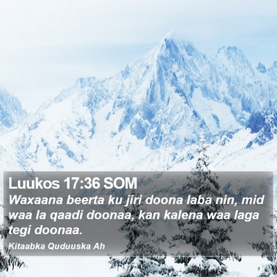 Luukos 17:36 SOM Bible Verse Image