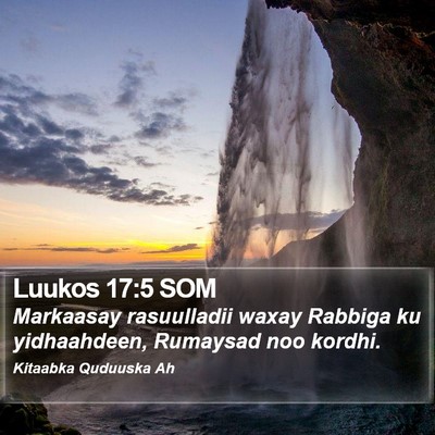 Luukos 17:5 SOM Bible Verse Image