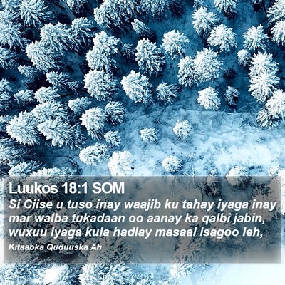 Luukos 18:1 SOM Bible Verse Image
