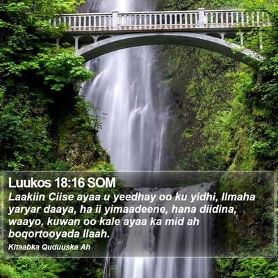 Luukos 18:16 SOM Bible Verse Image