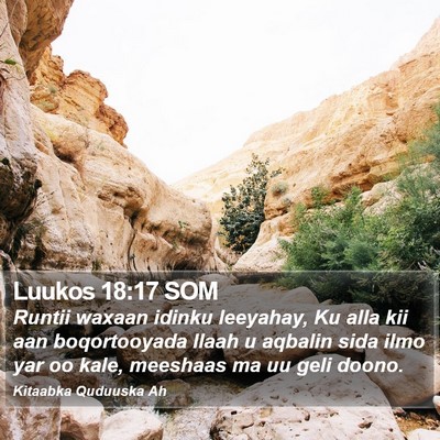 Luukos 18:17 SOM Bible Verse Image