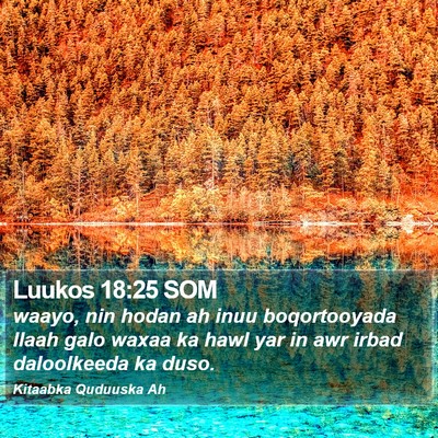 Luukos 18:25 SOM Bible Verse Image