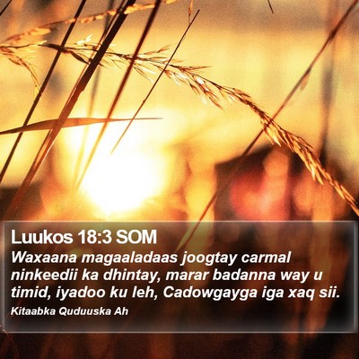Luukos 18:3 SOM Bible Verse Image