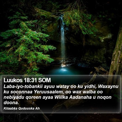 Luukos 18:31 SOM Bible Verse Image