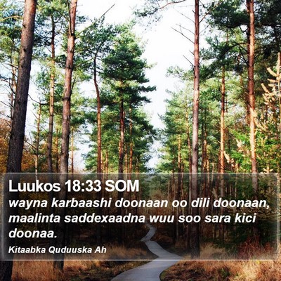 Luukos 18:33 SOM Bible Verse Image