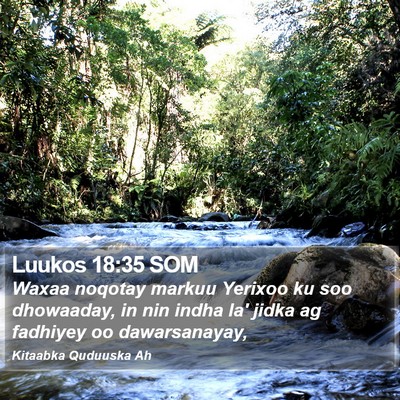 Luukos 18:35 SOM Bible Verse Image