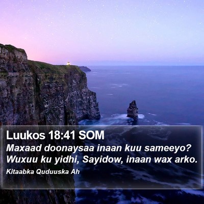 Luukos 18:41 SOM Bible Verse Image