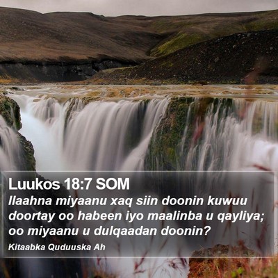 Luukos 18:7 SOM Bible Verse Image