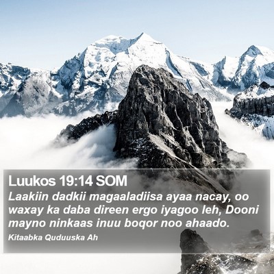 Luukos 19:14 SOM Bible Verse Image