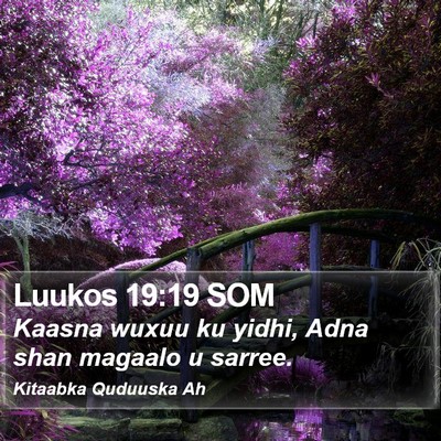 Luukos 19:19 SOM Bible Verse Image