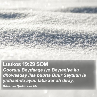 Luukos 19:29 SOM Bible Verse Image