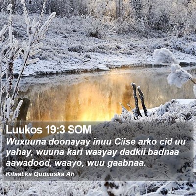 Luukos 19:3 SOM Bible Verse Image