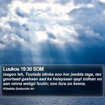 Luukos 19:30 SOM Bible Verse Image