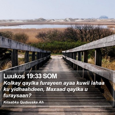 Luukos 19:33 SOM Bible Verse Image