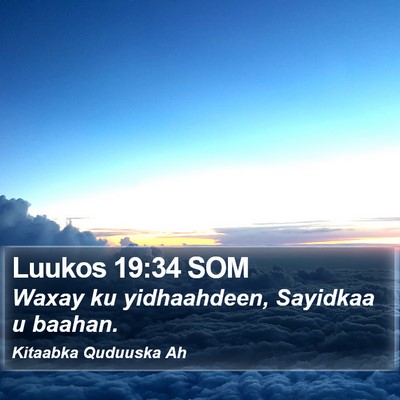 Luukos 19:34 SOM Bible Verse Image