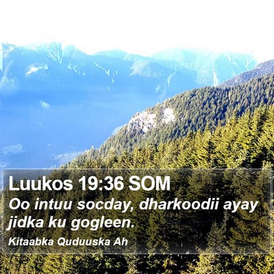 Luukos 19:36 SOM Bible Verse Image