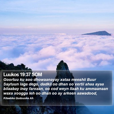 Luukos 19:37 SOM Bible Verse Image