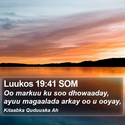 Luukos 19:41 SOM Bible Verse Image