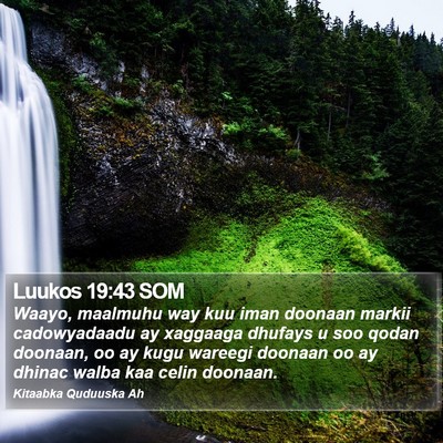 Luukos 19:43 SOM Bible Verse Image