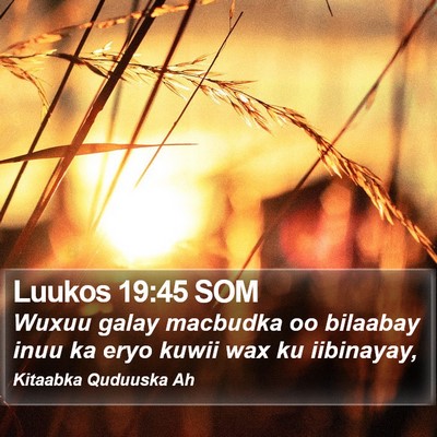 Luukos 19:45 SOM Bible Verse Image