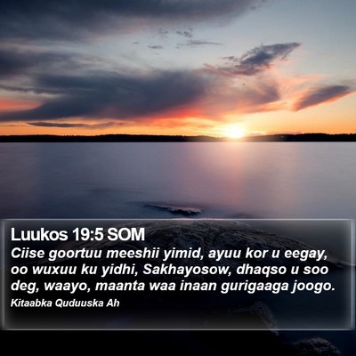 Luukos 19:5 SOM Bible Verse Image