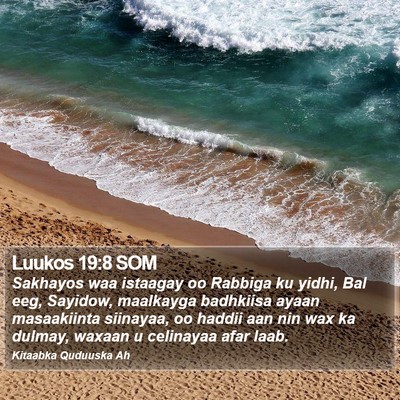 Luukos 19:8 SOM Bible Verse Image