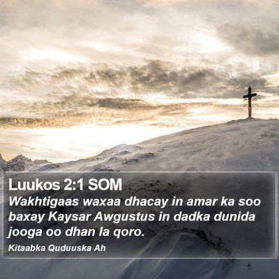Luukos 2:1 SOM Bible Verse Image