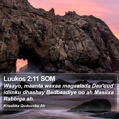 Luukos 2:11 SOM Bible Verse Image