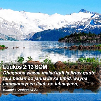 Luukos 2:13 SOM Bible Verse Image