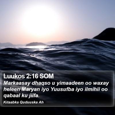 Luukos 2:16 SOM Bible Verse Image